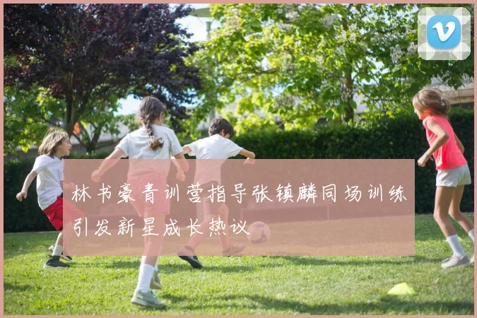 林书豪青训营指导张镇麟同场训练引发新星成长热议